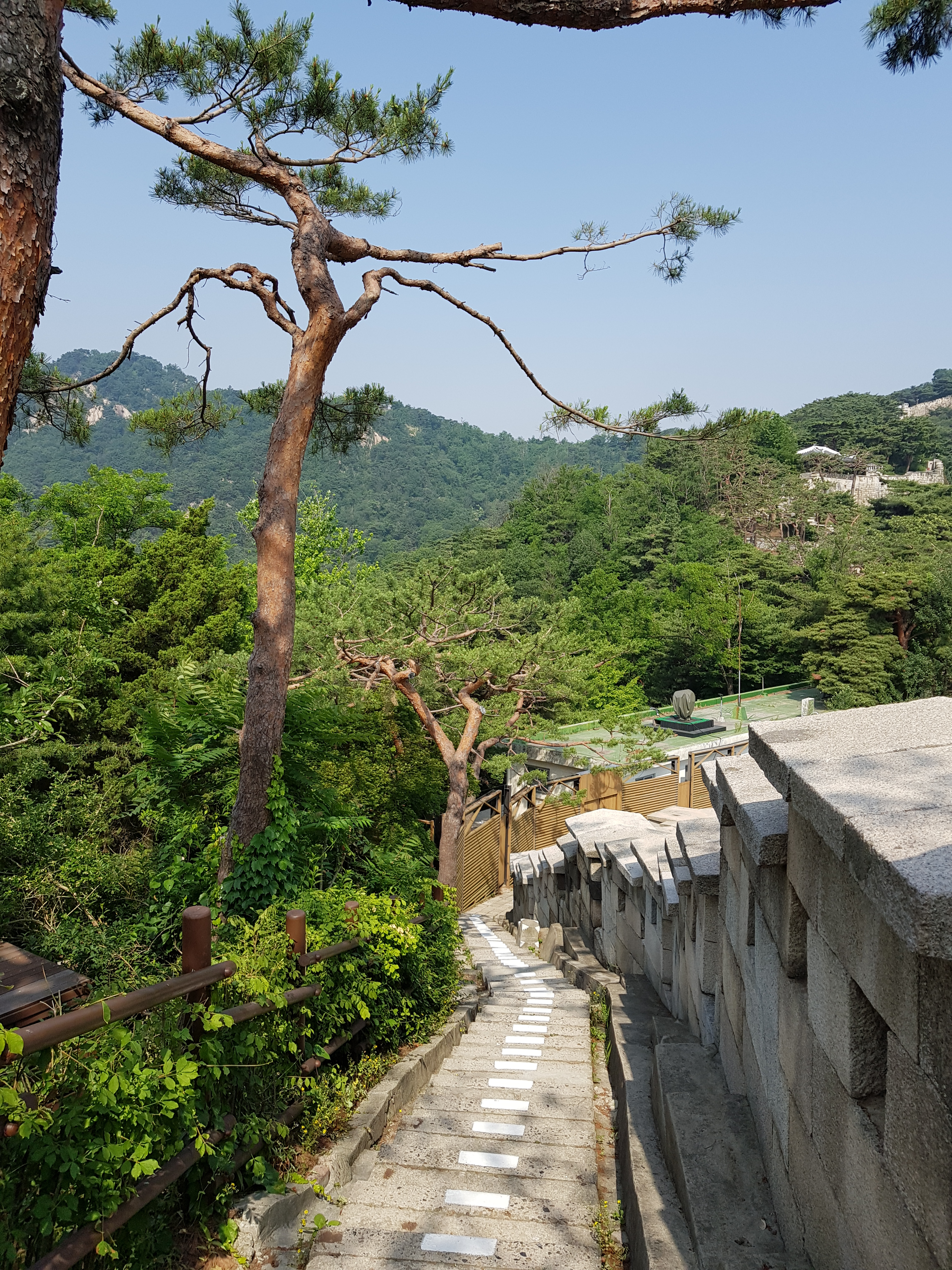 배우 조한철 - 북악산에서 만난 어린 시절 성당 식...