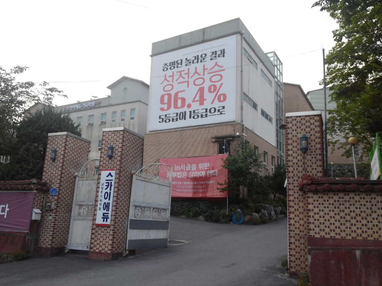 민들레세상 이미지