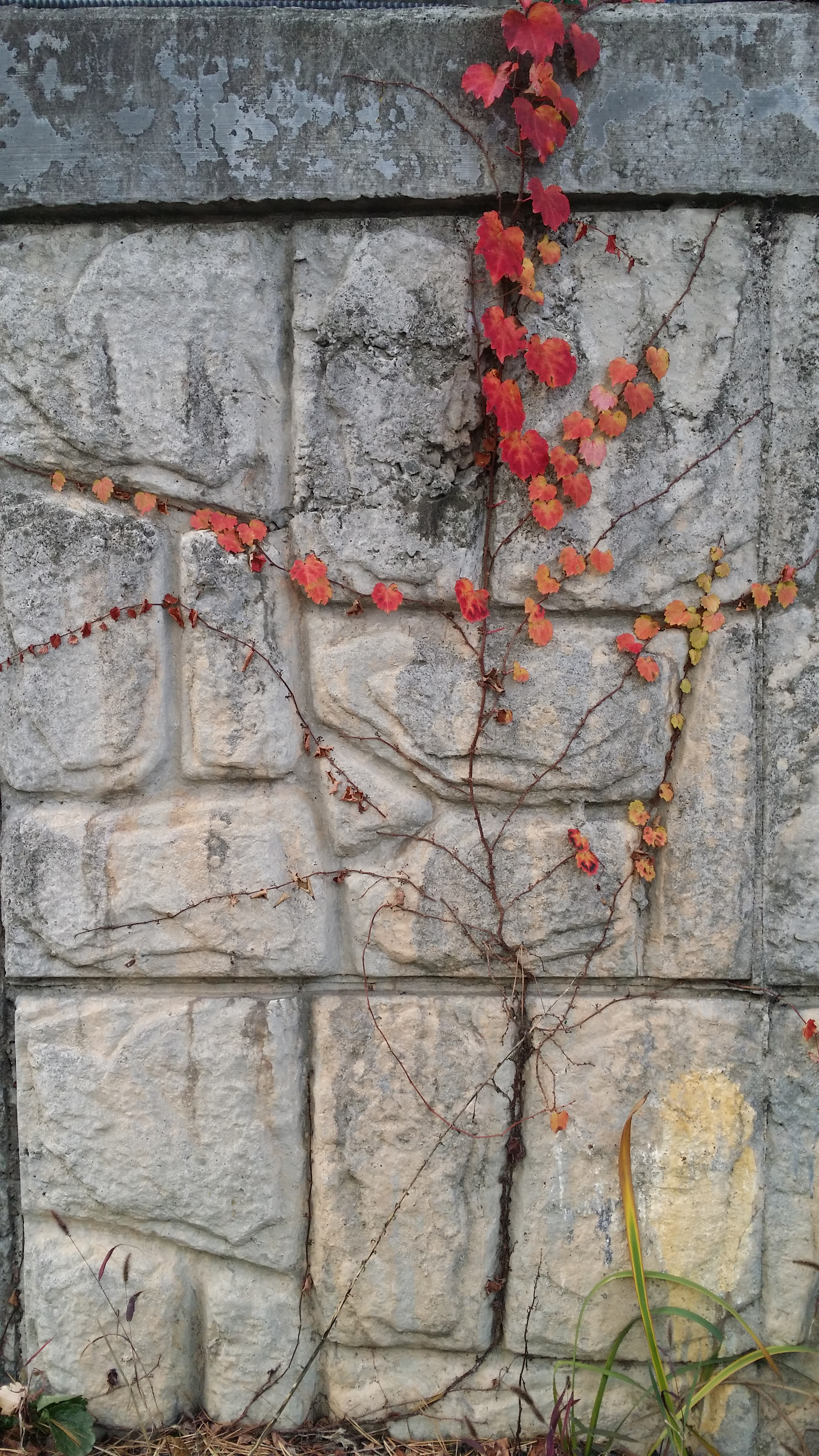 배여사선영욱진맘