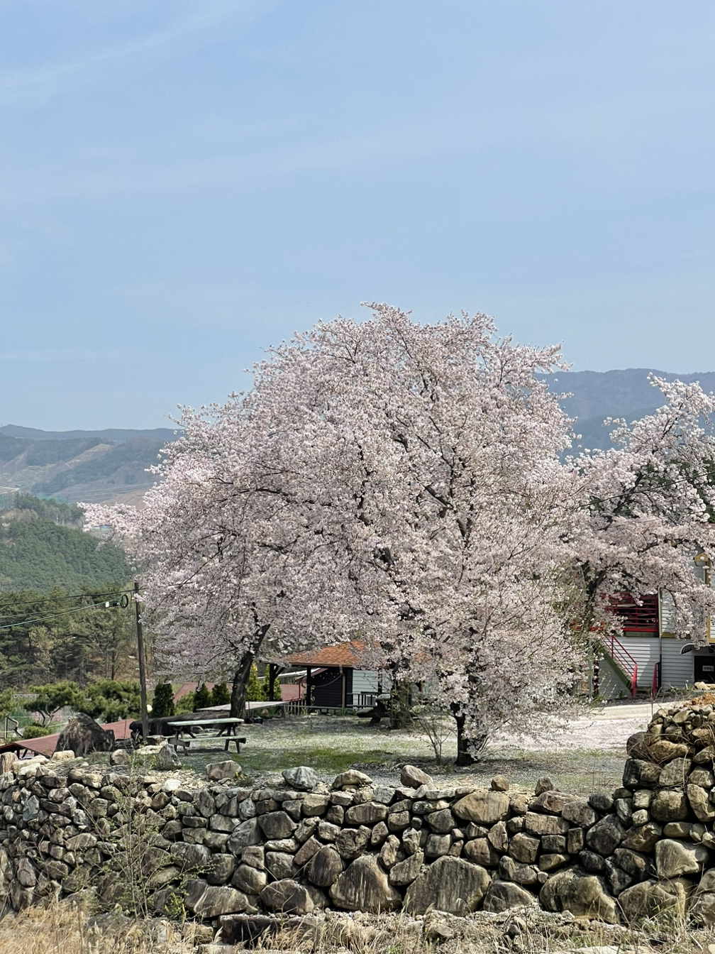 02화 지리산에서 첫번째 글을 쓰다