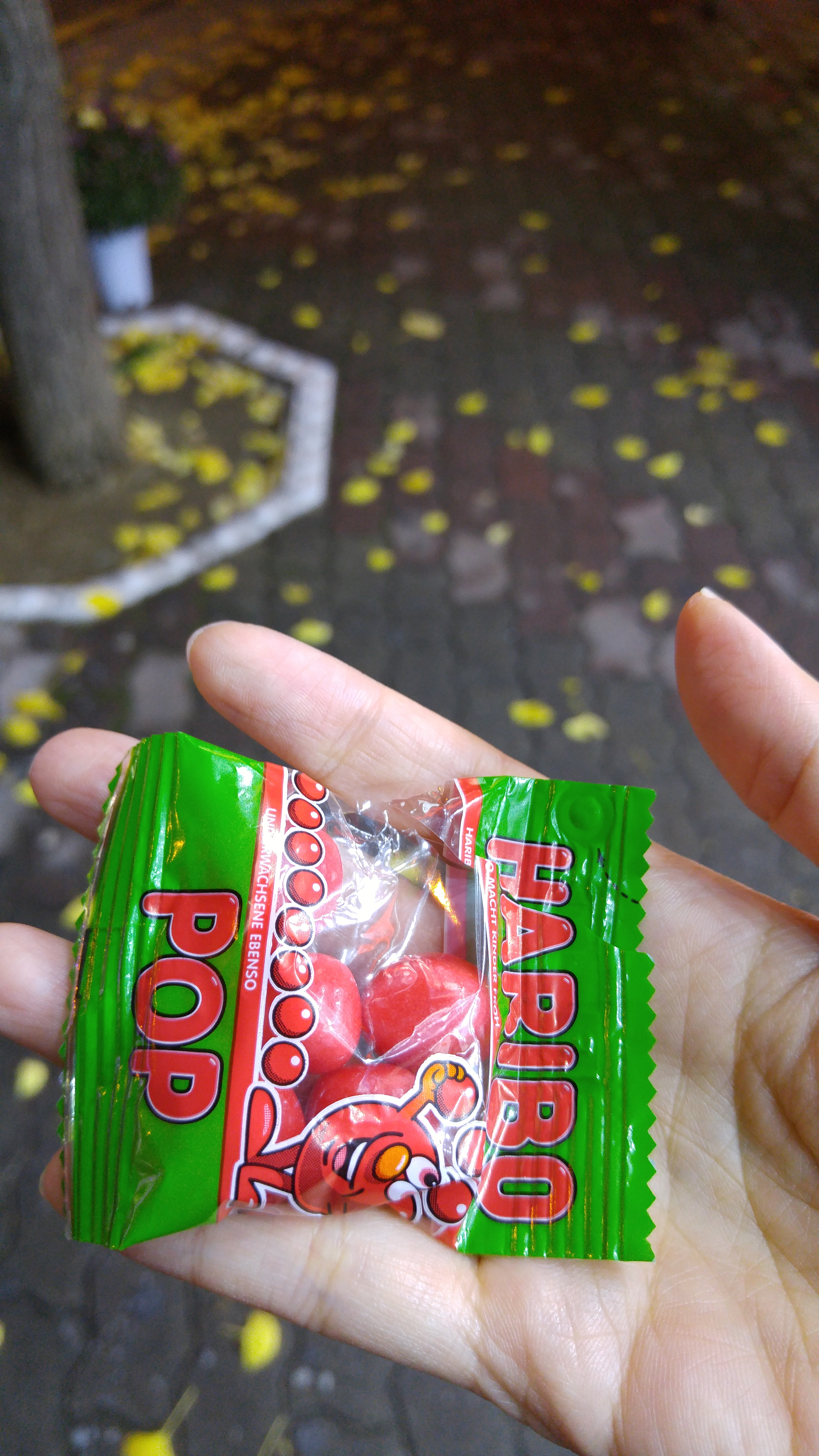 꼬리에 꼬리를 물고