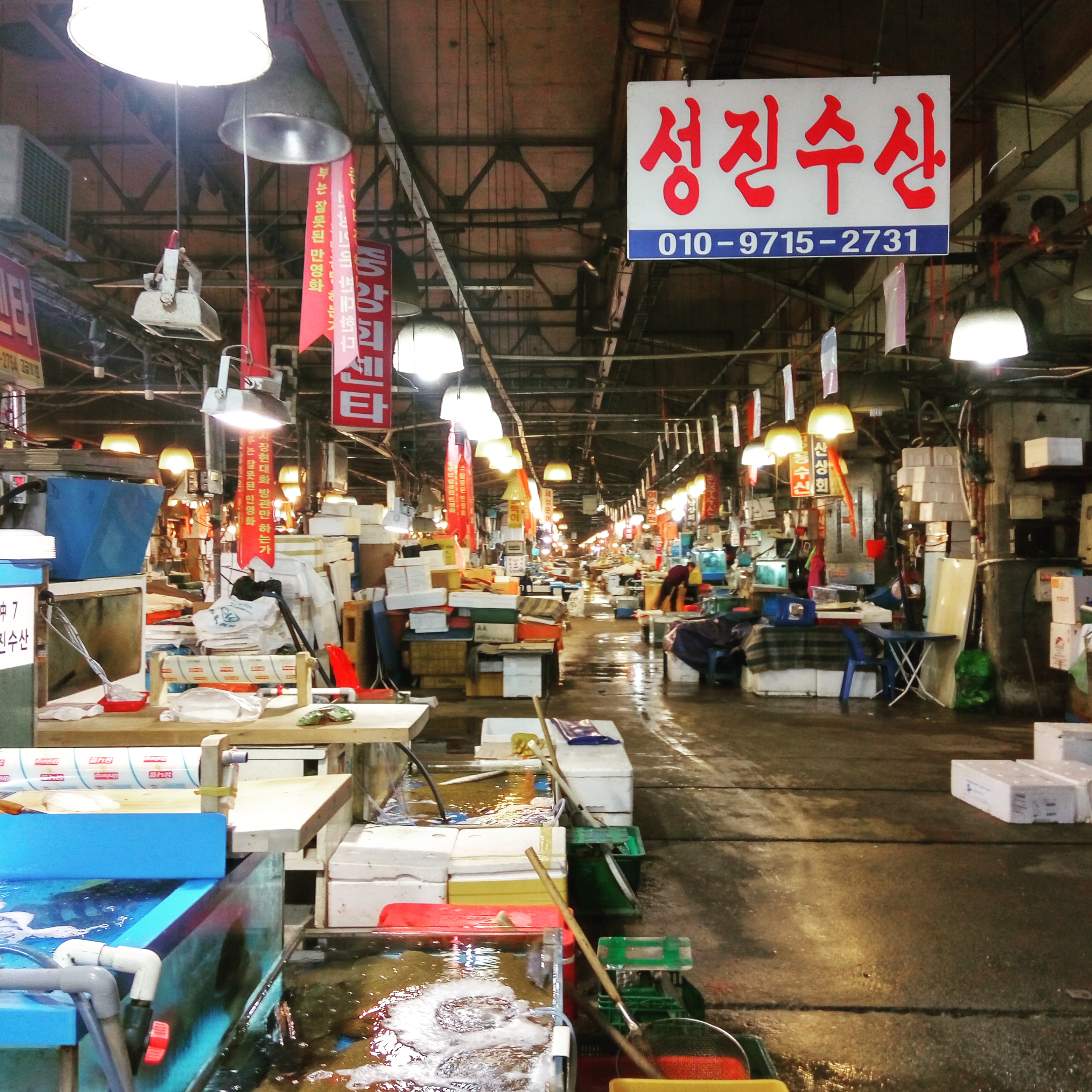 안녕, 노량진 (구)수산시장. - 그 많던 사람들은 ...