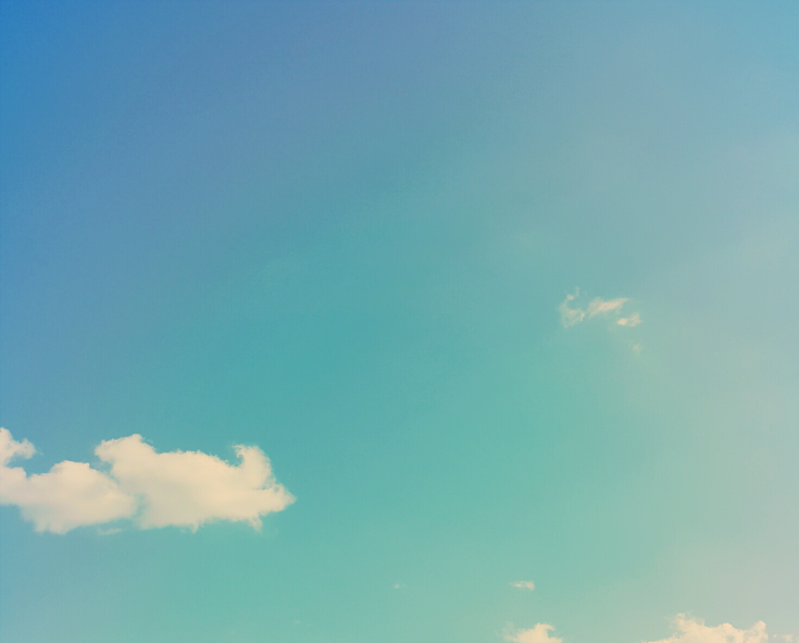 메아리없는야호