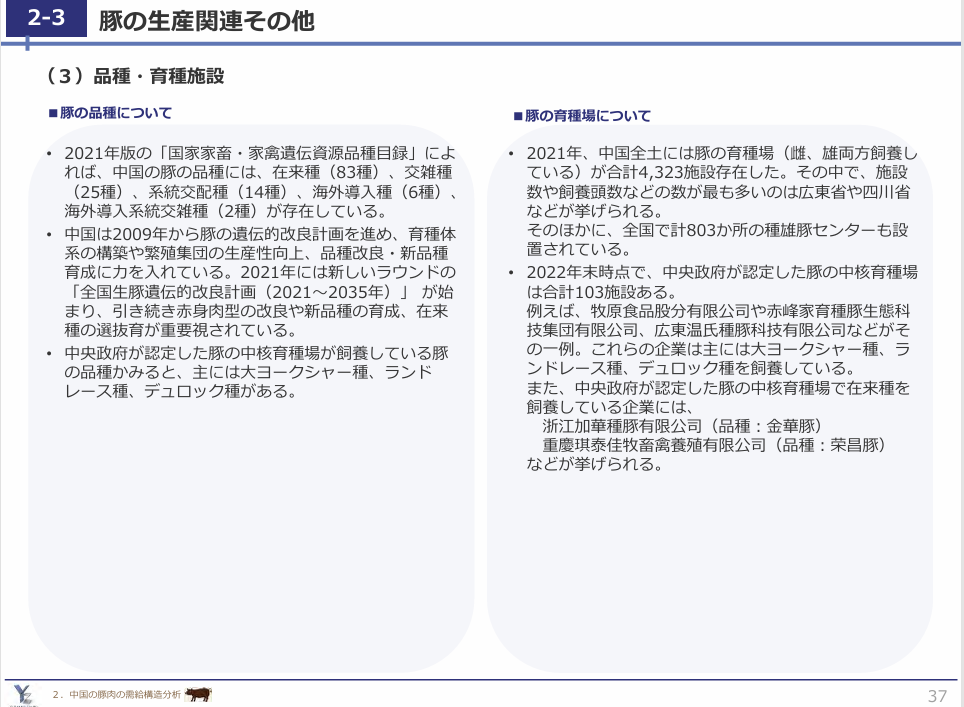 83돼지 이미지