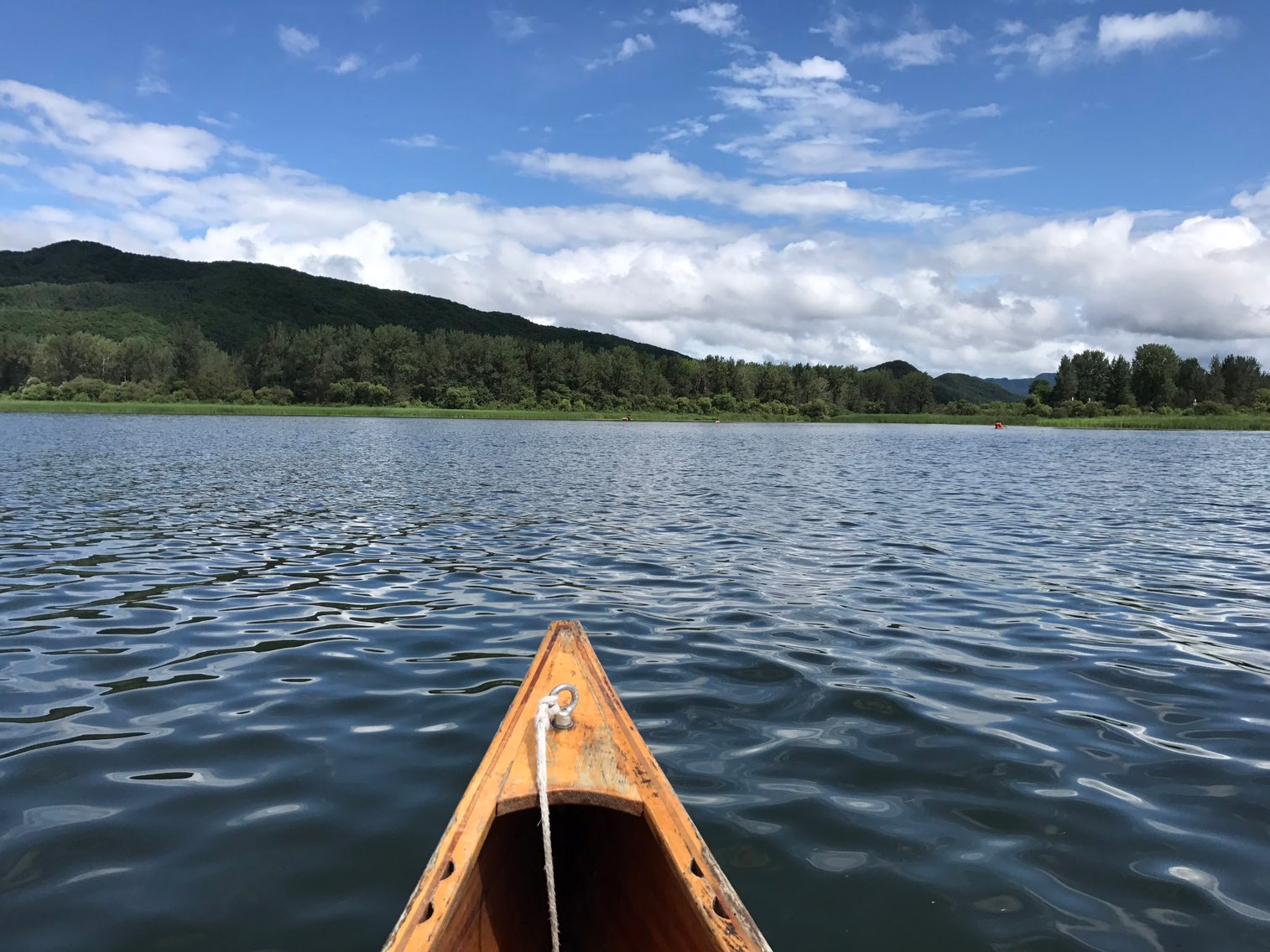 매우 긍정적인 수연