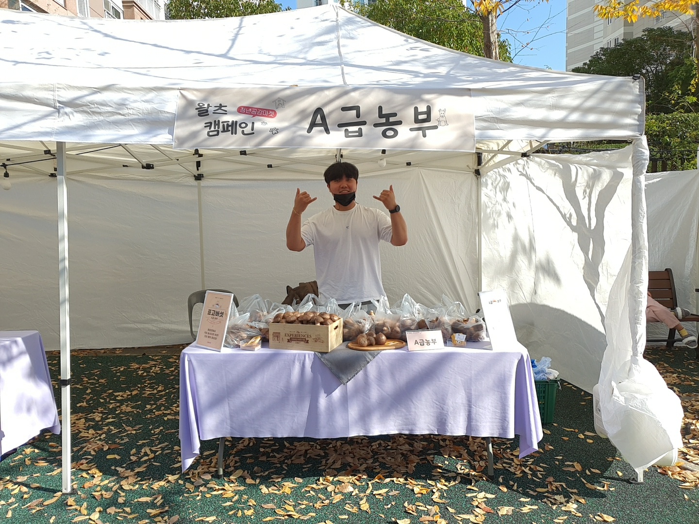 대원기획 이미지