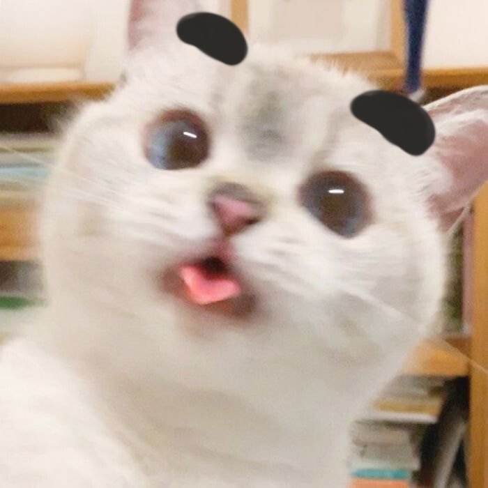 열두시삼십분