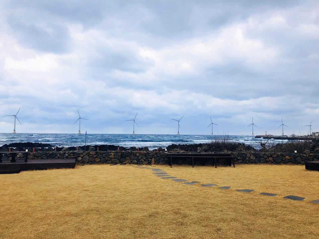 제주도가 이렇게 추운 나라였습니까