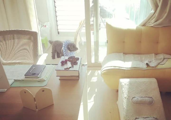 자유를 꿈꾸는 통번역