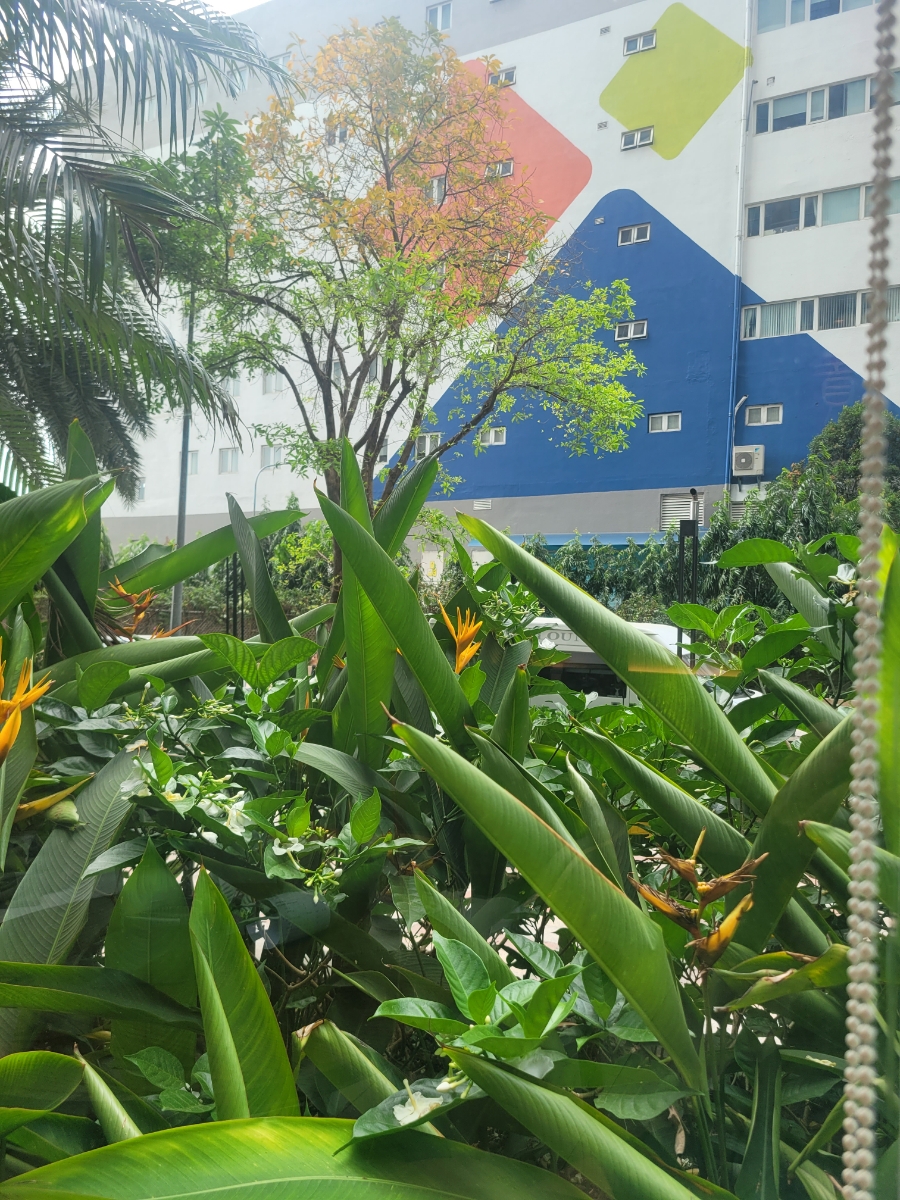 사계절호프 이미지