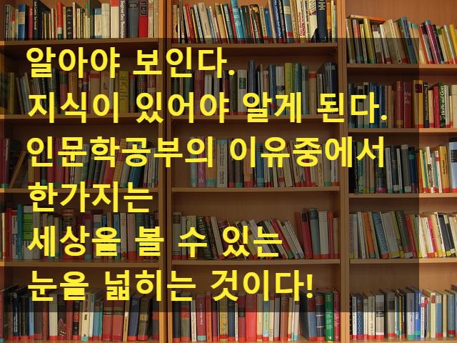 창조시선 이미지