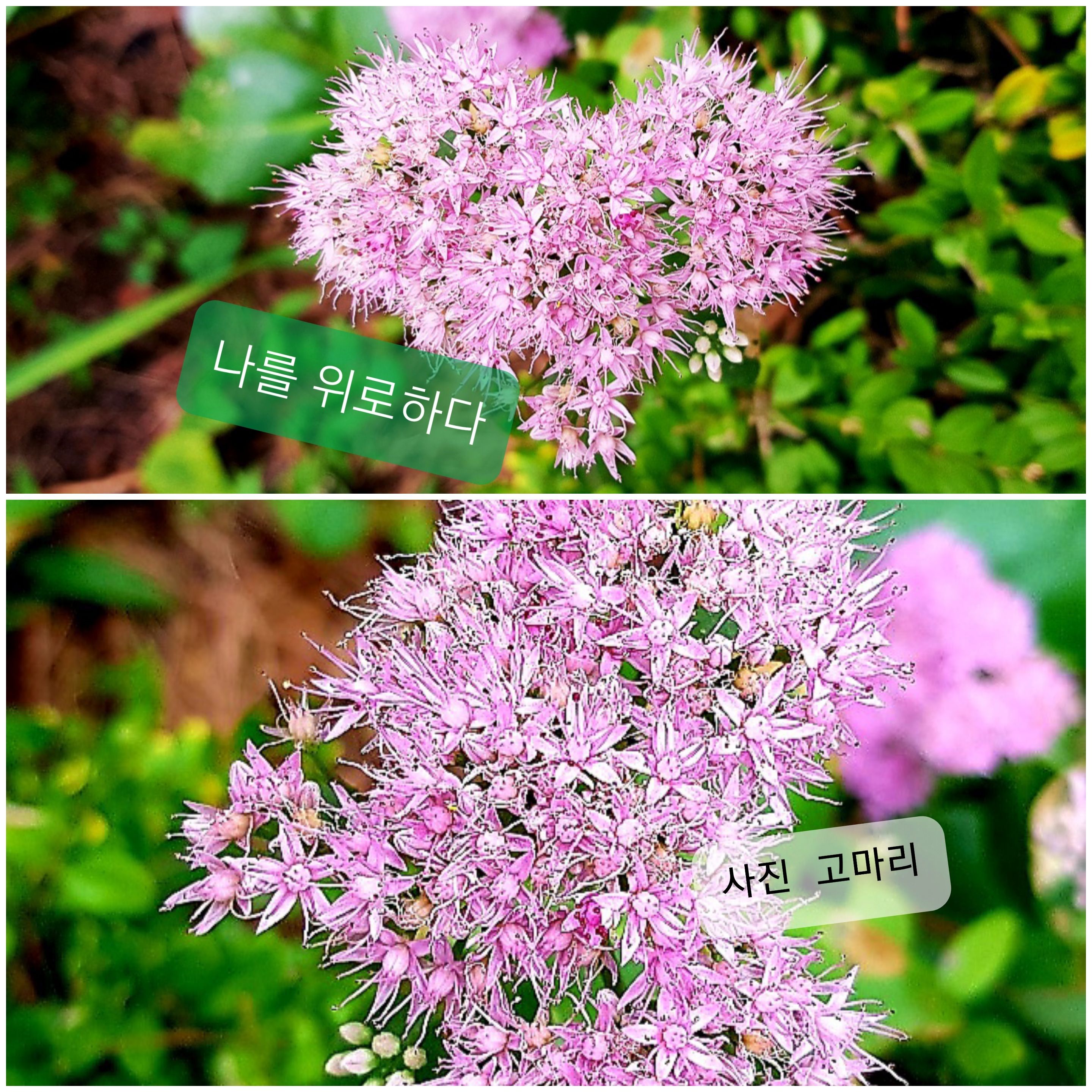 클레오파트라 뷰티살롱 이미지