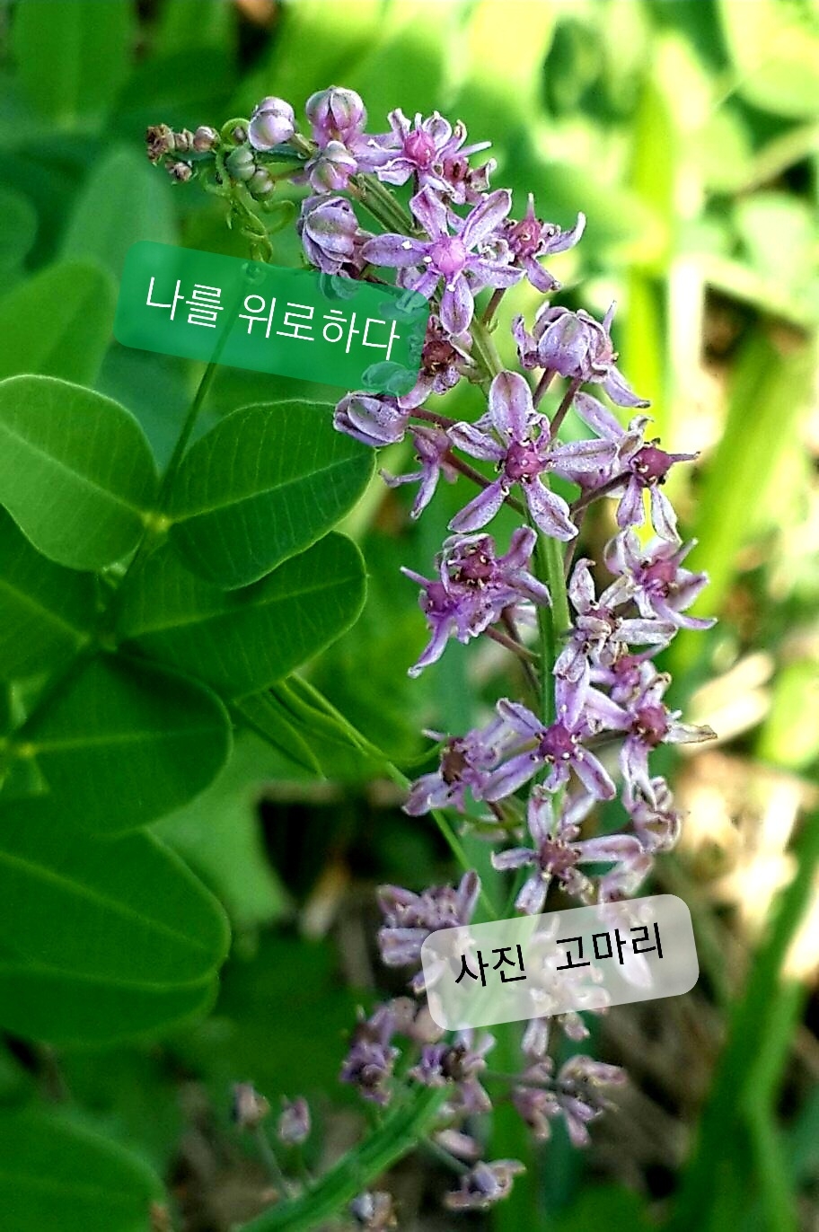 우주노래주점 이미지