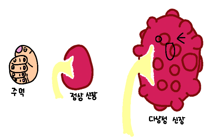 09화 다낭신이 뭘까?