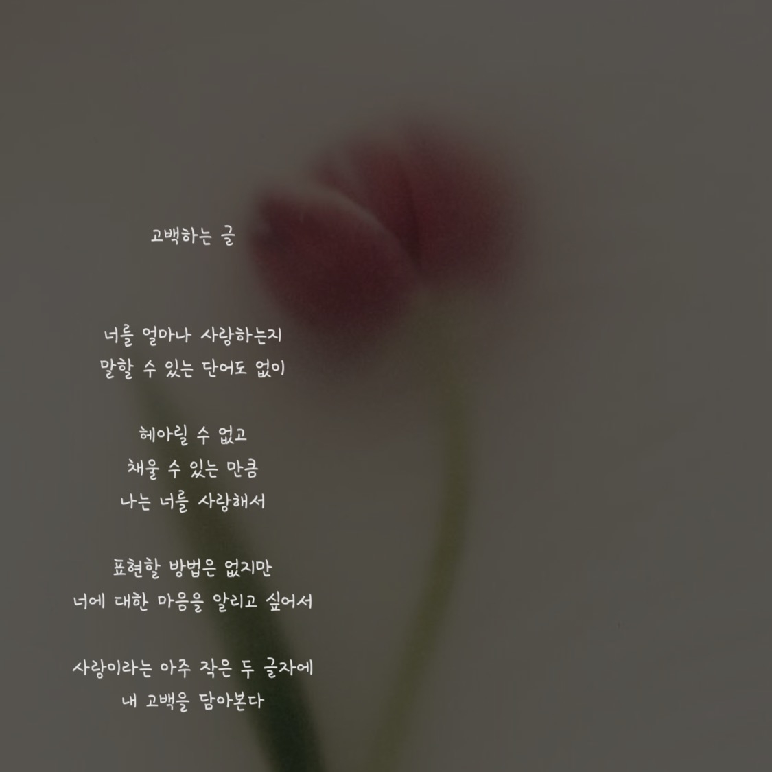 고백하는 글