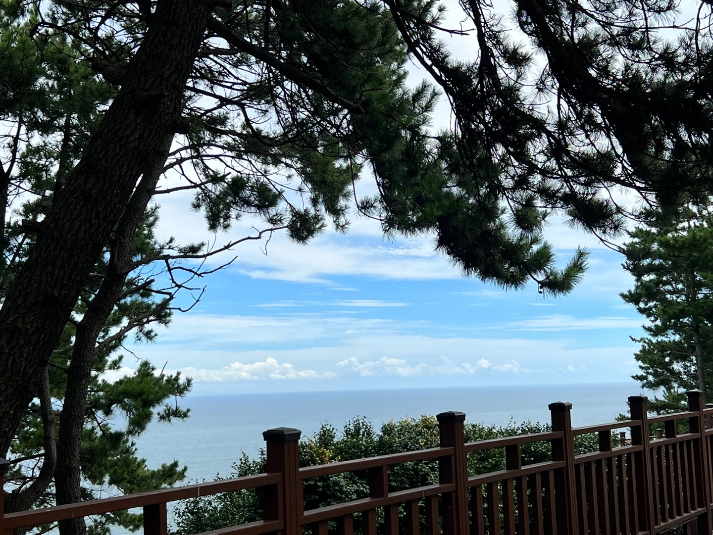 포레스트하늘바다