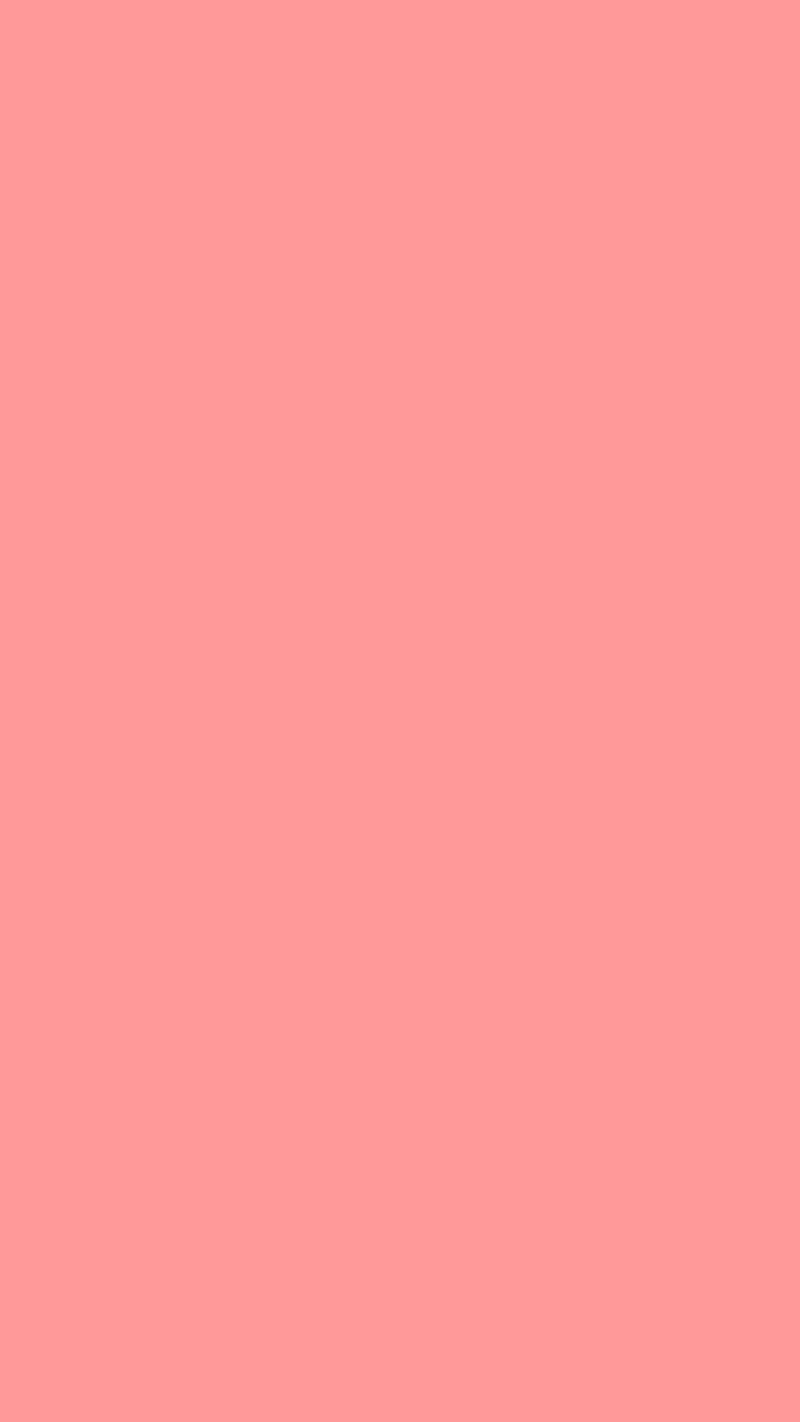 한초희