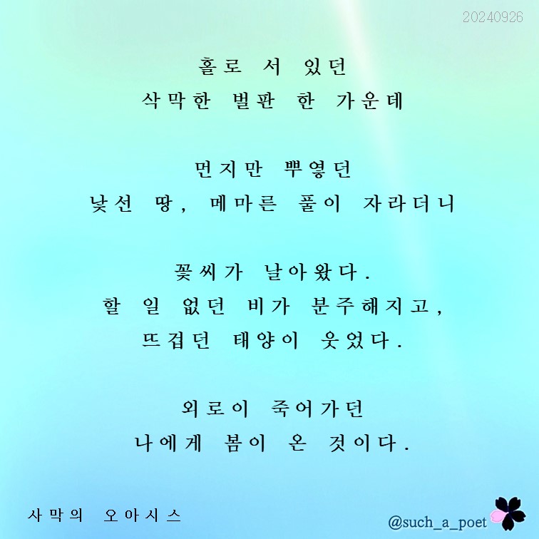 사막의오아시스 이미지