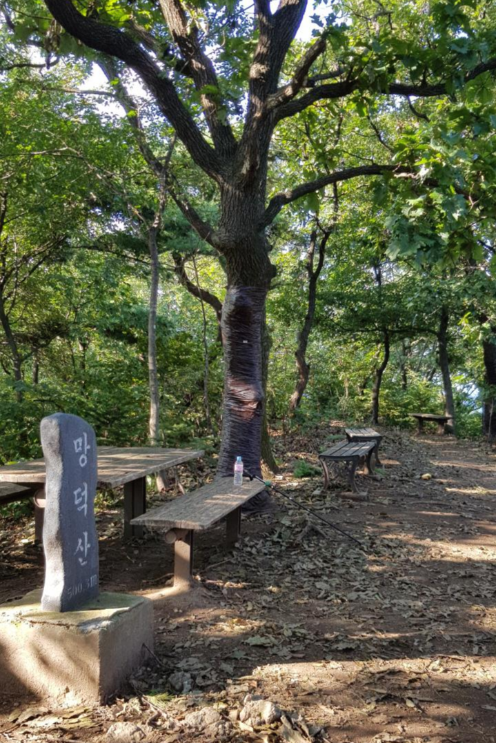 추석 엔딩, 검단산에서 이배재까지