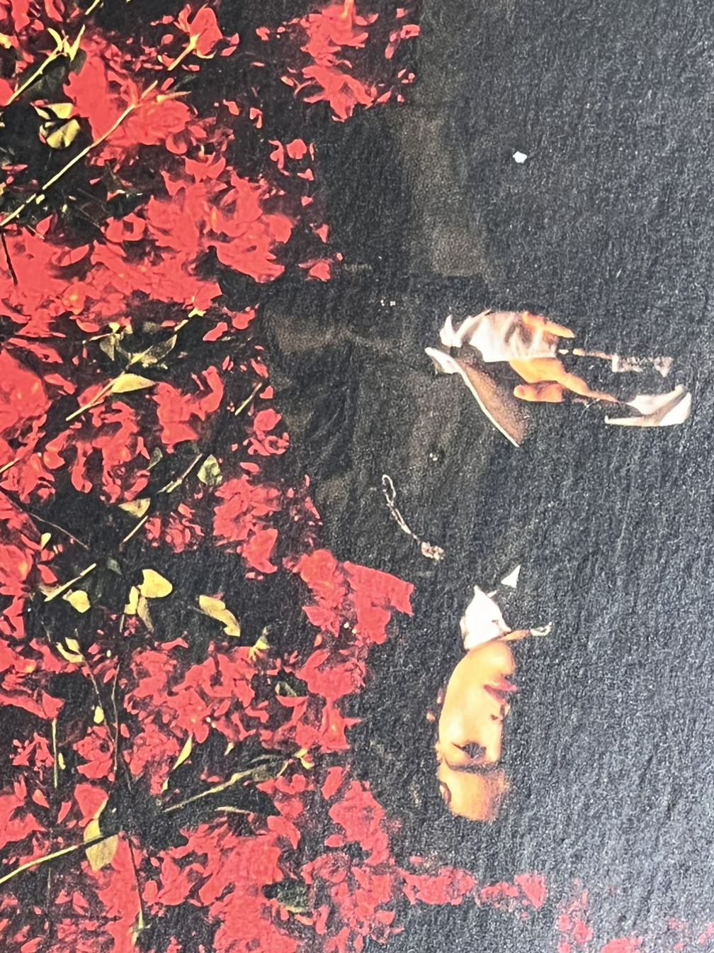 책 읽는 동굴이