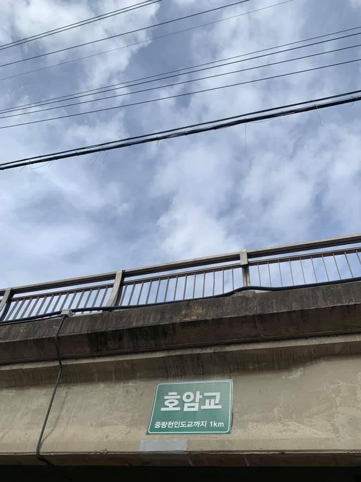 세상을 누비다 이미지