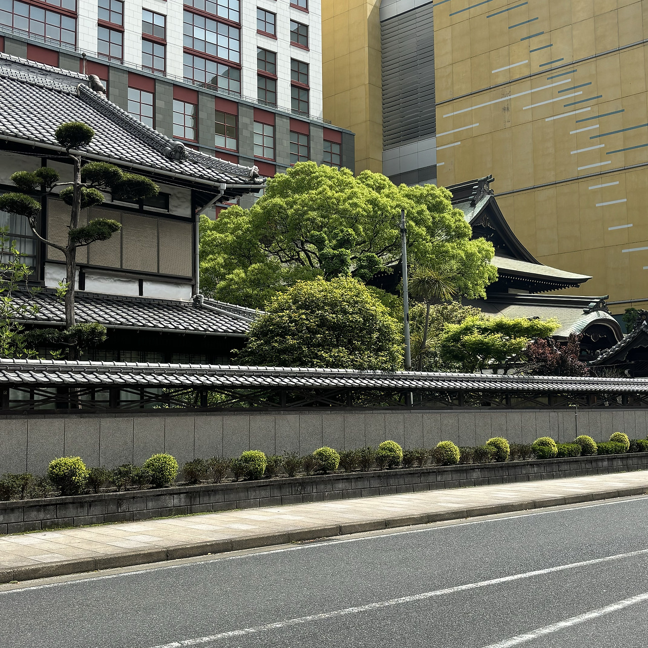 http://t1.daumcdn.net/brunch/service/user/aVyy/image/CPSg3PuVCwhHIJLspMItGY1pB54.heic