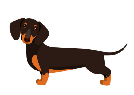 내속엔내가너무도많아