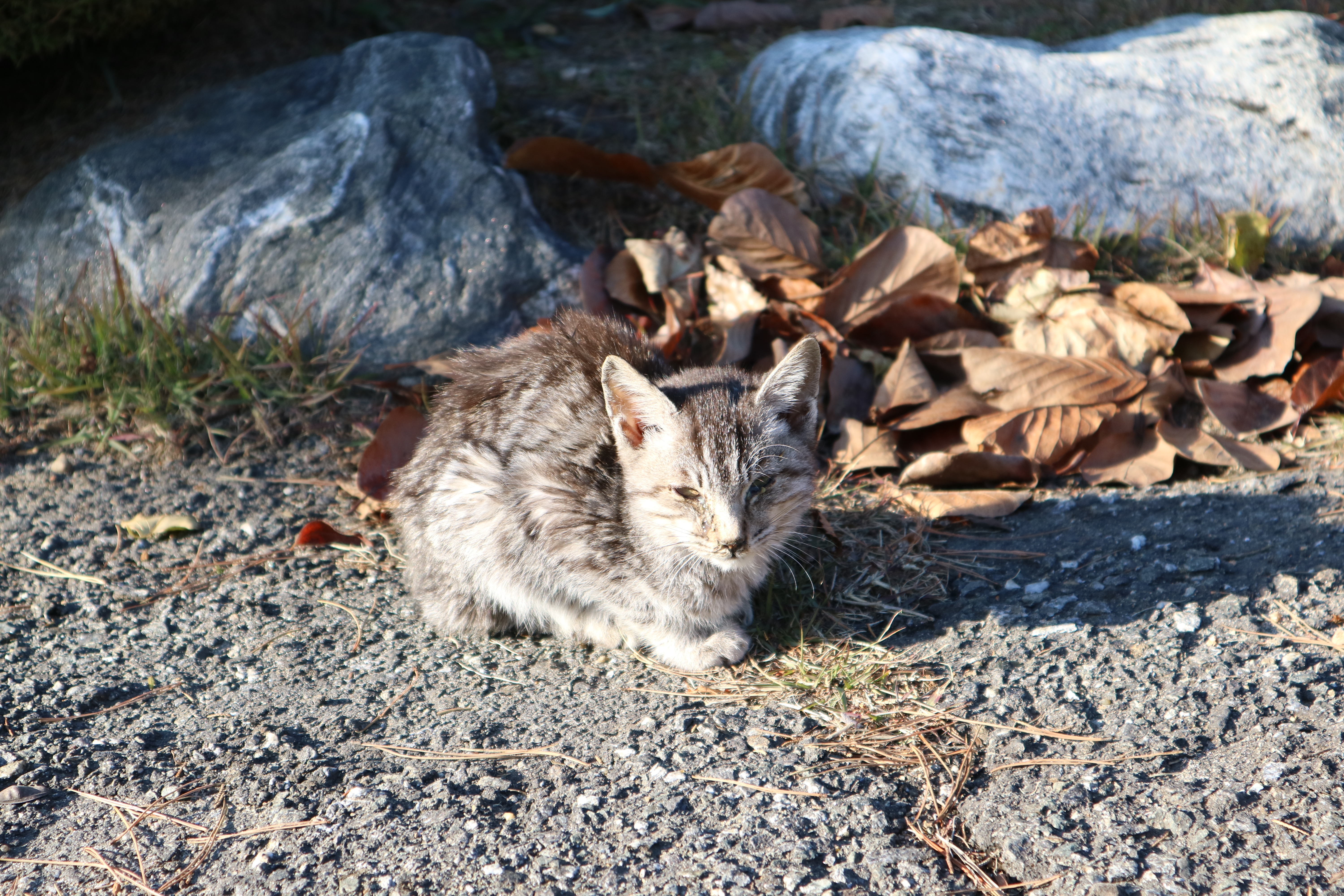 비오는 날의 우울