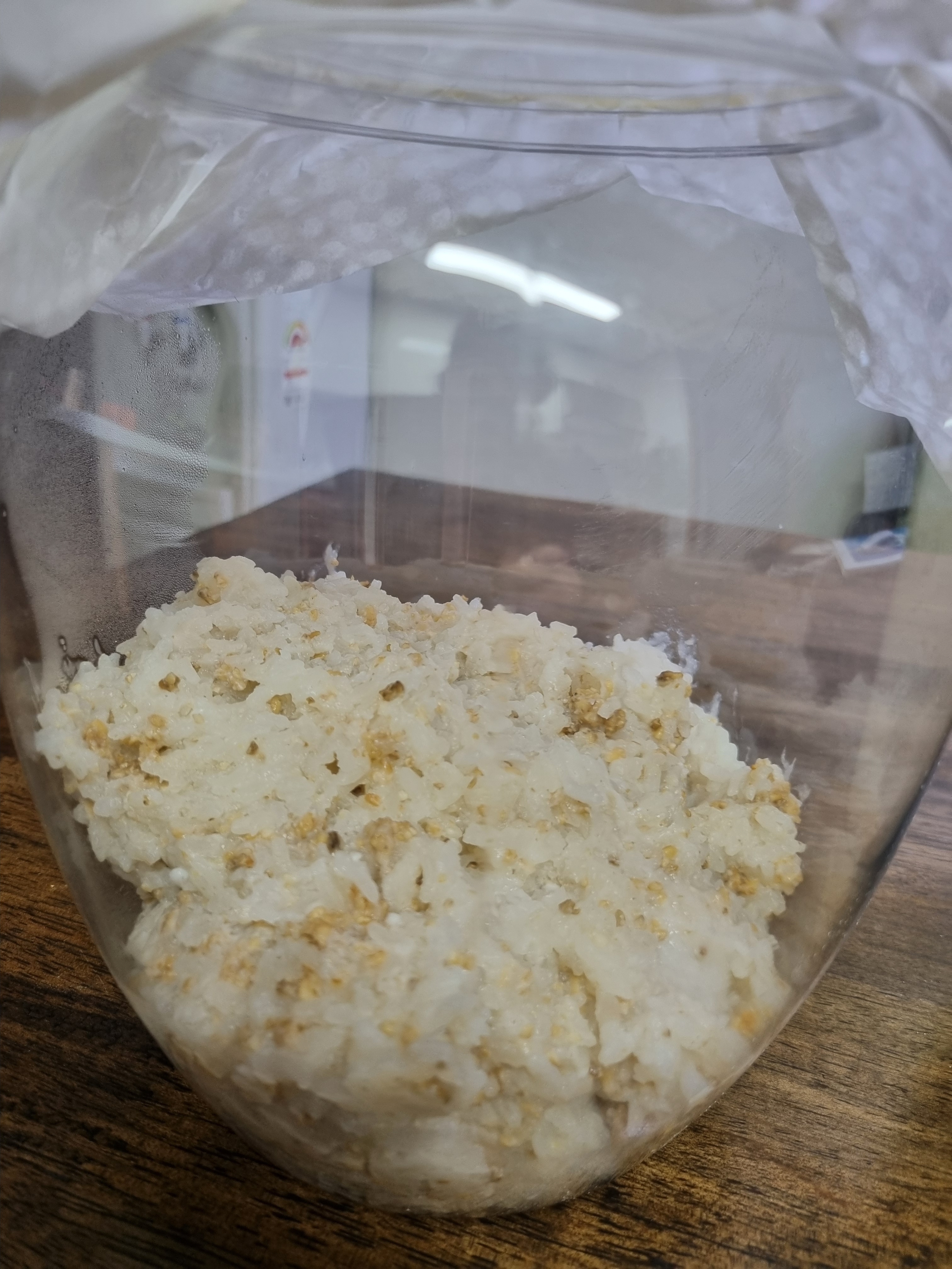 노산춘 이미지