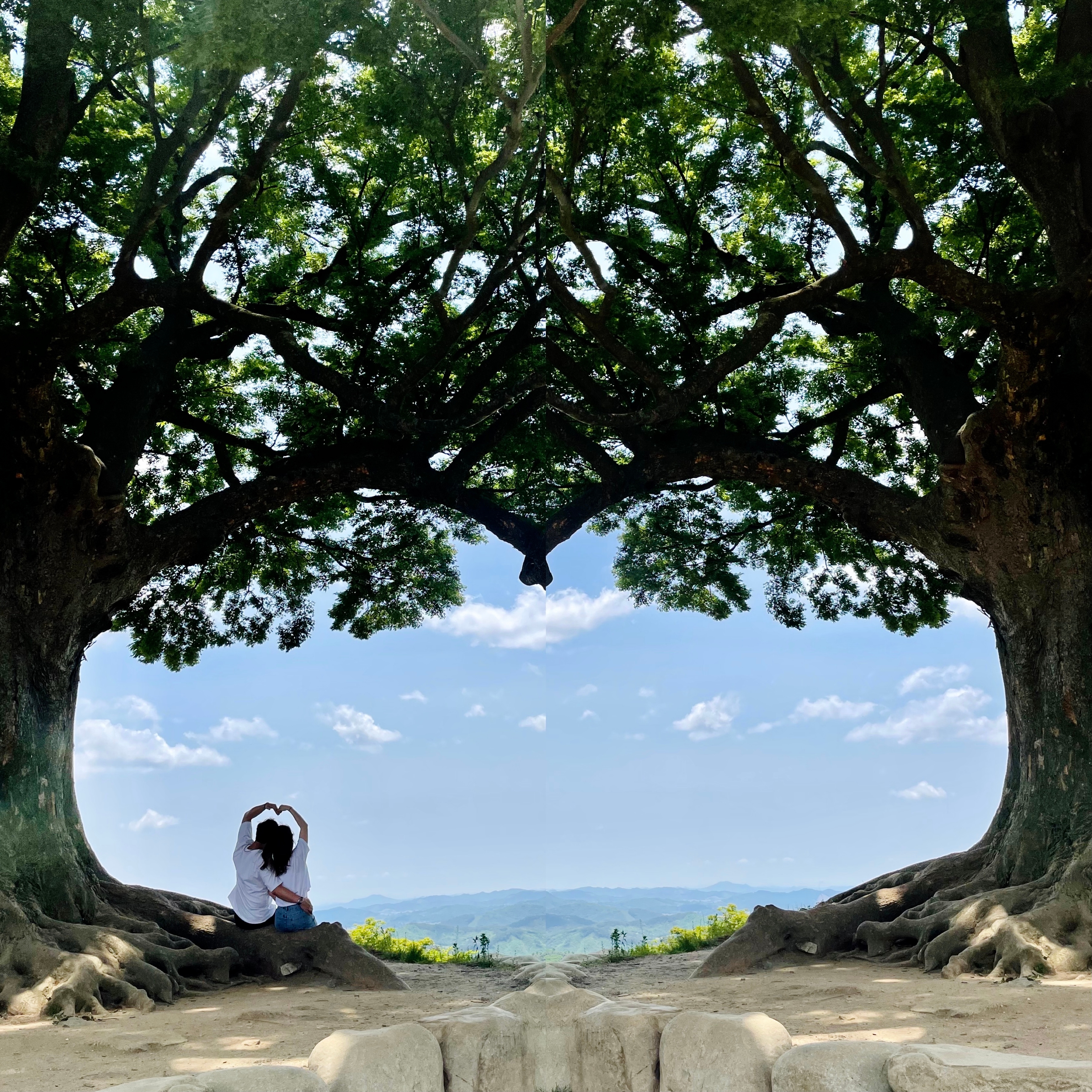 별니미