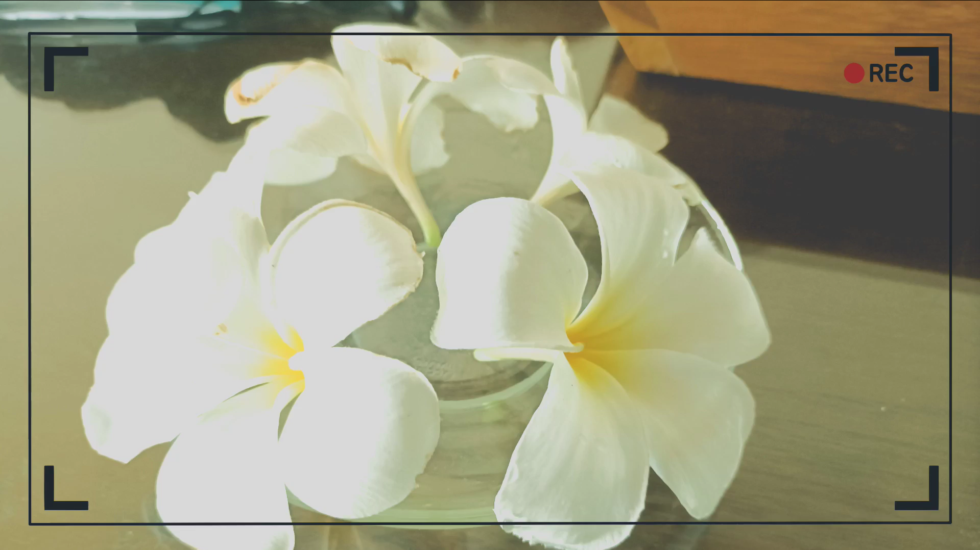 말썽부려 쟈스민