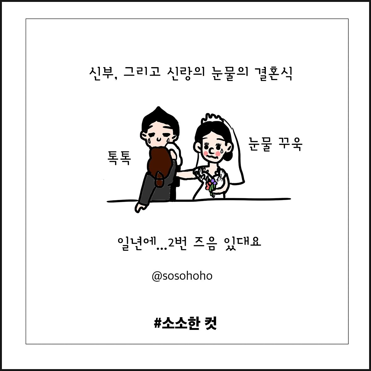 소소호호 이미지