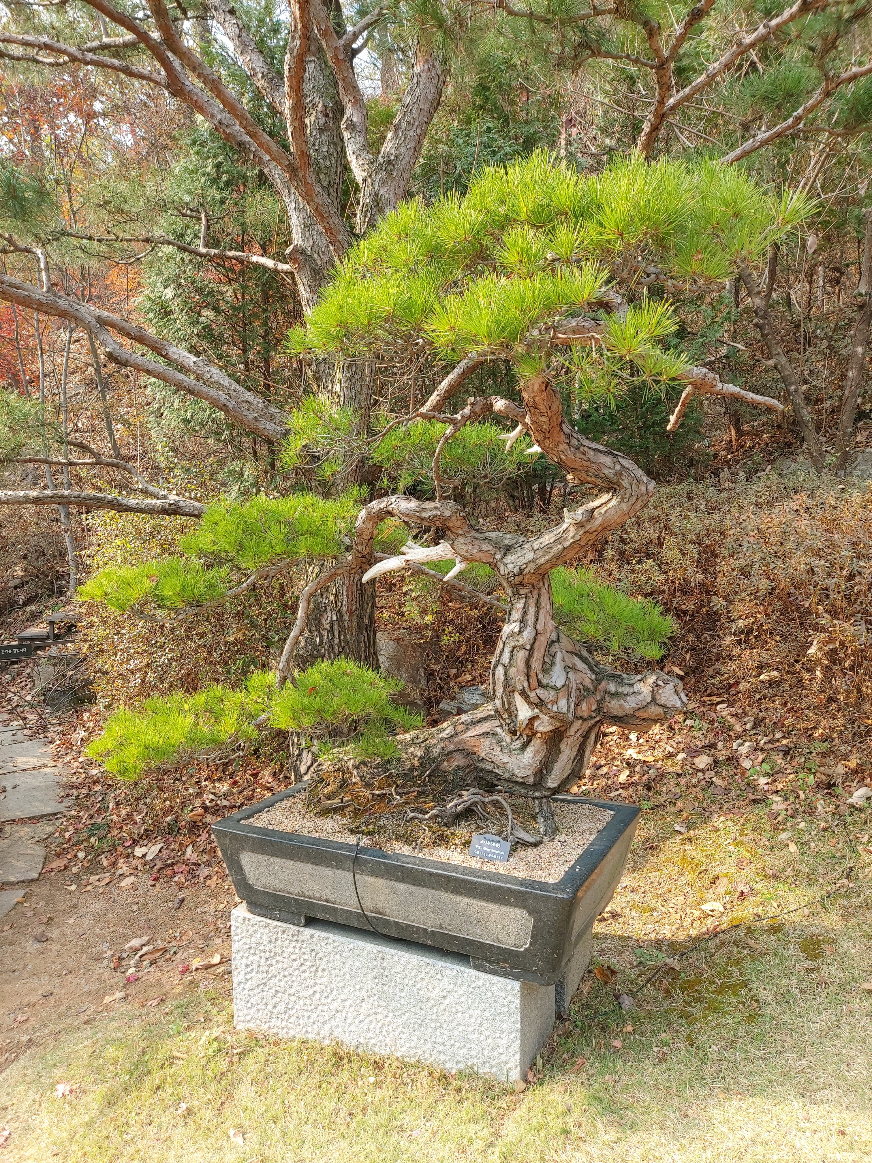 내가 원한 인생