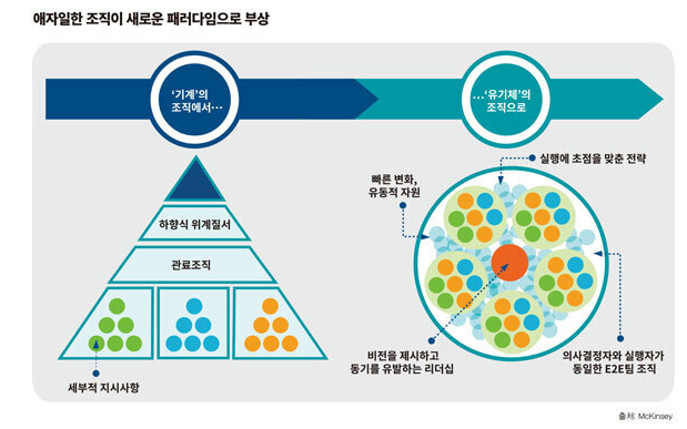 물빛나라 이미지