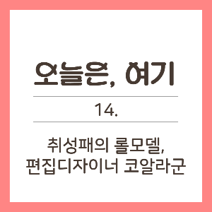 오늘은코알라 이미지