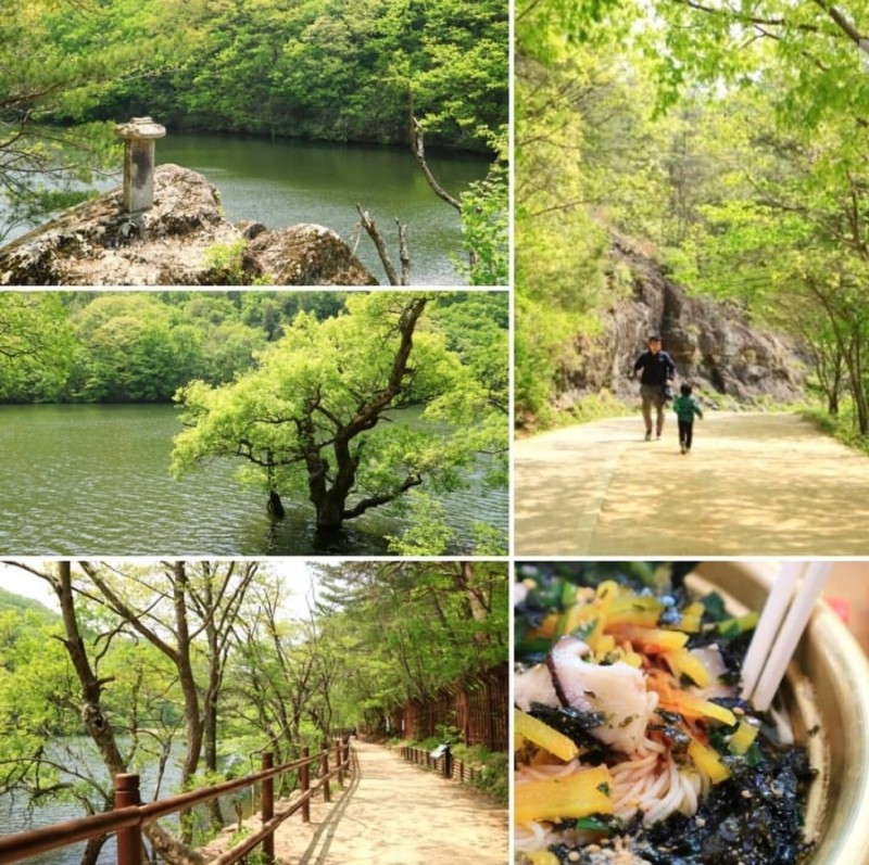 버들국수 이미지