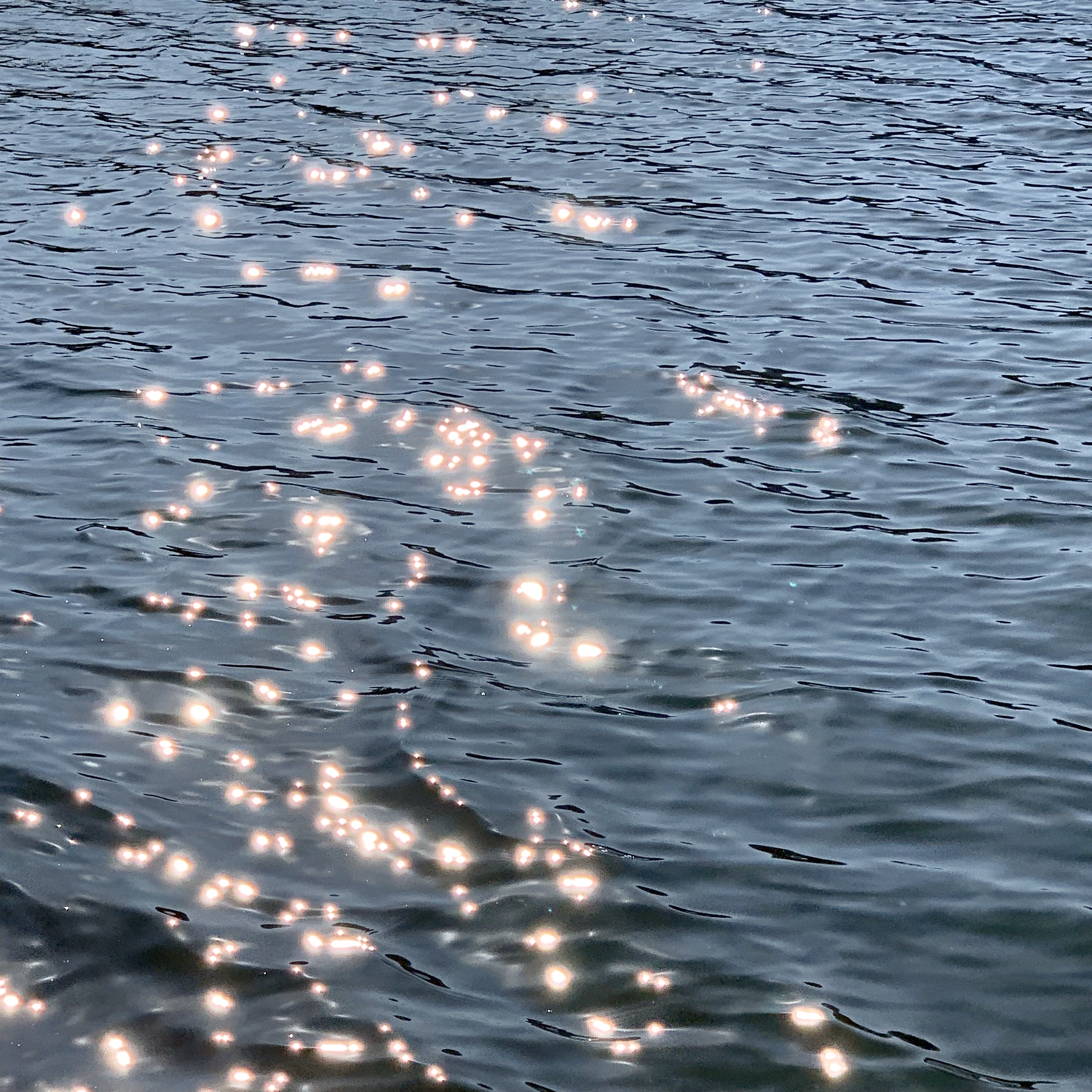 흘러가는삶의형태