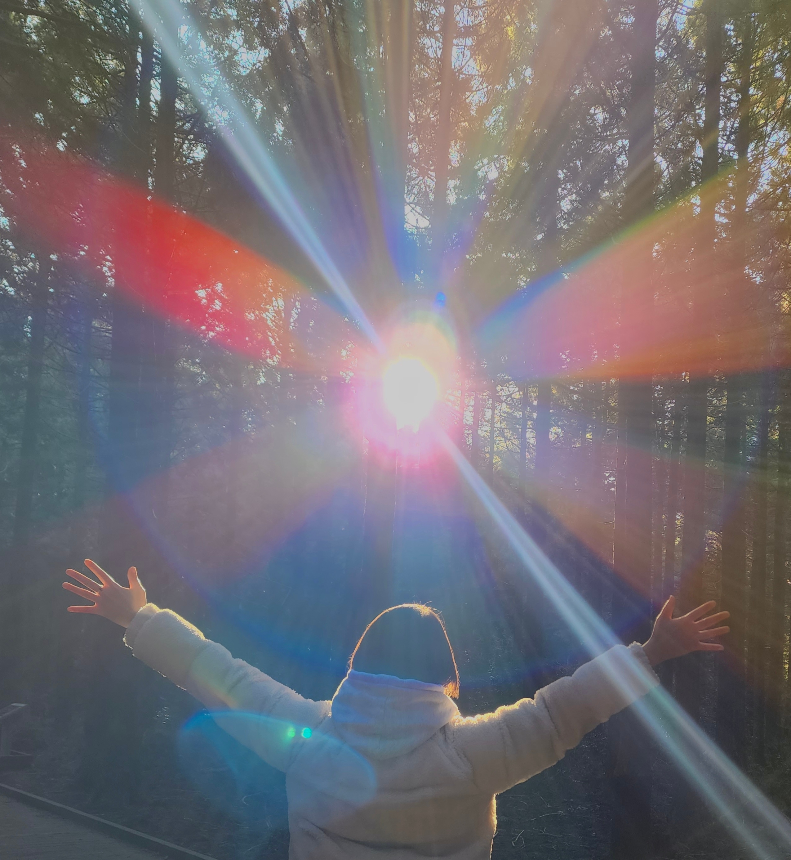 솔직혜지는 편지