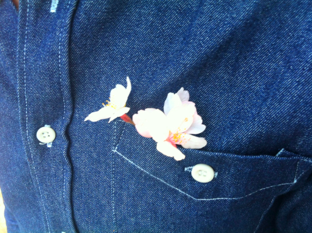 꽃보다술 술보다글