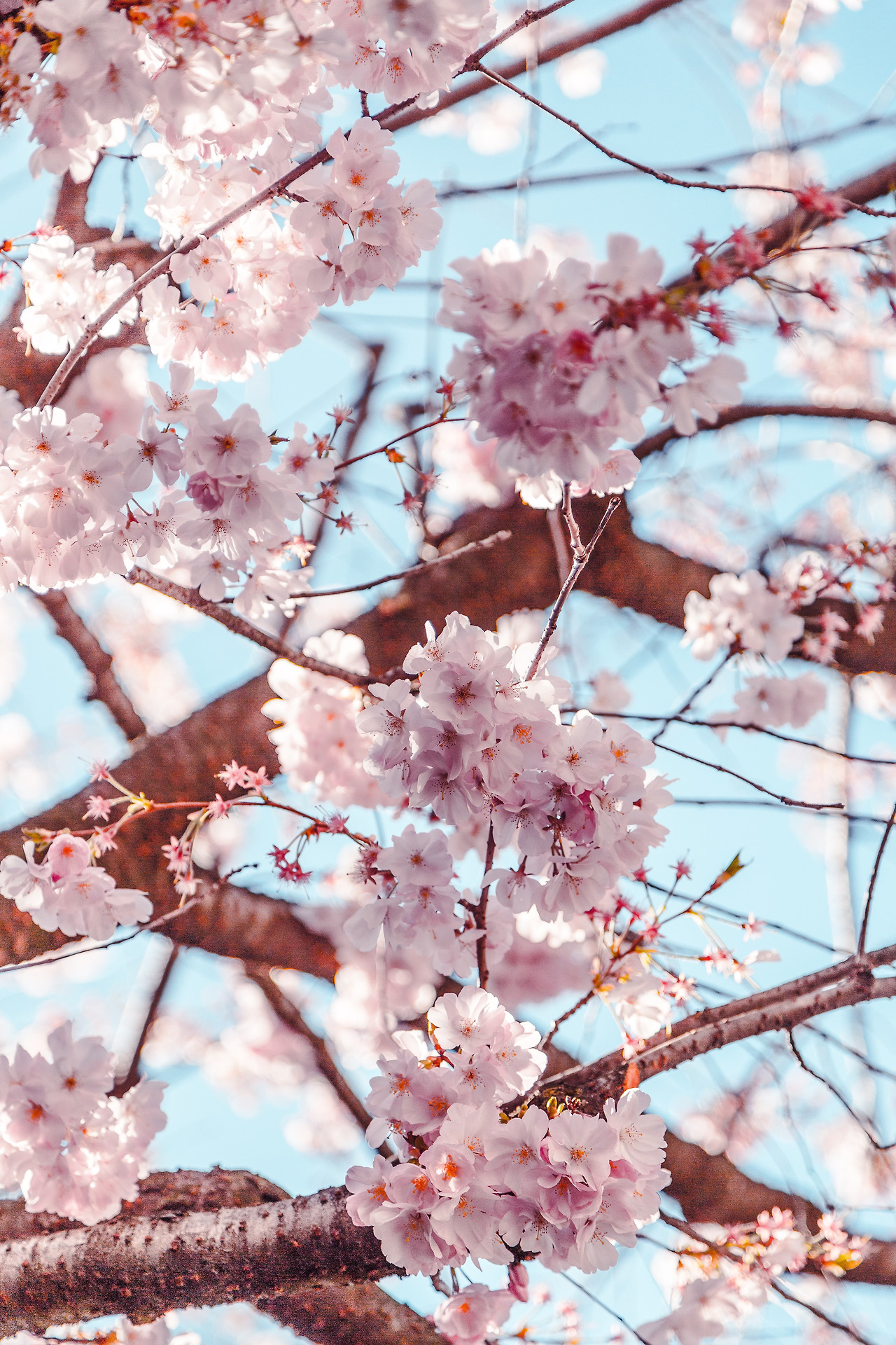 바림 이미지