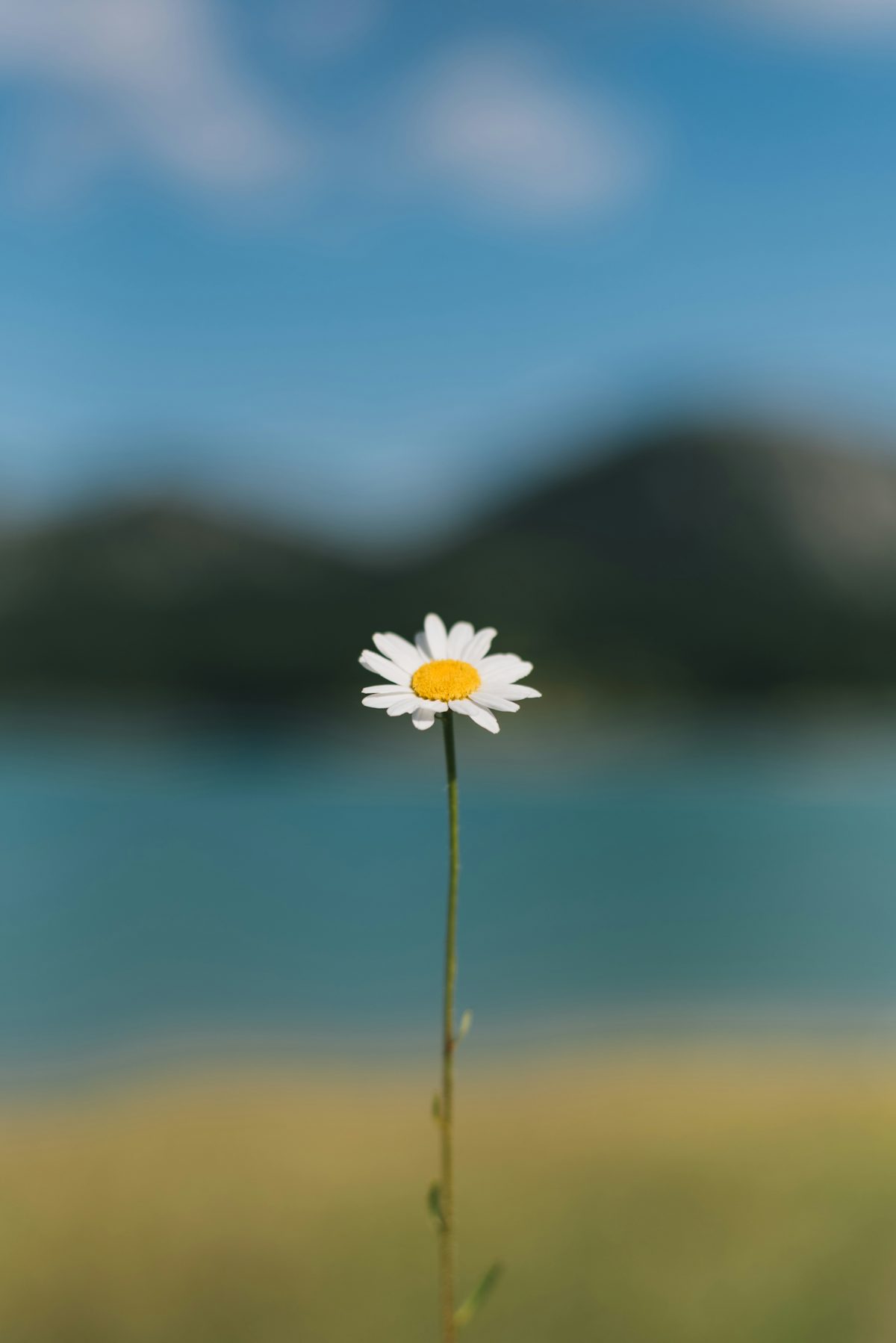 프롤로그 이미지