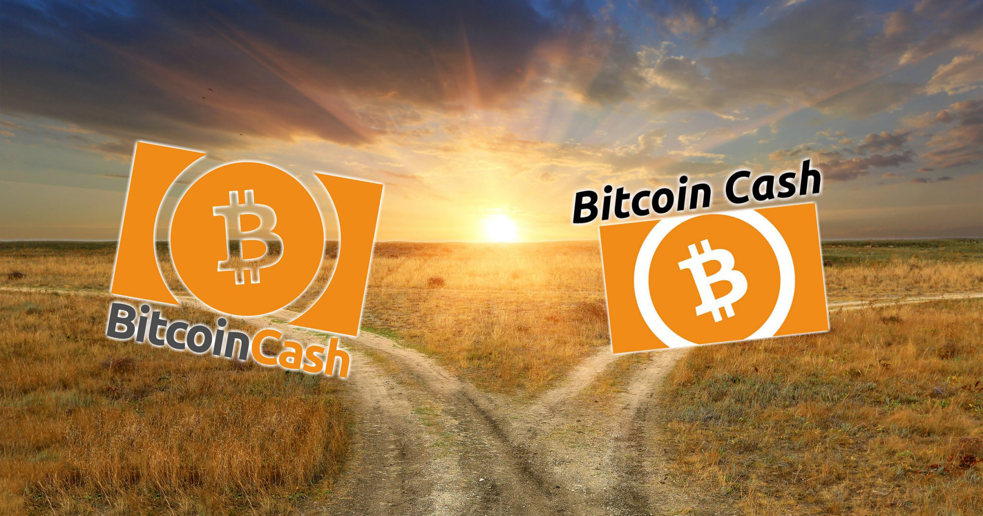 블록체인 하드포크, 넌 어떤 포크야?