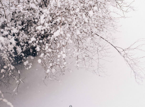 김*신 이미지