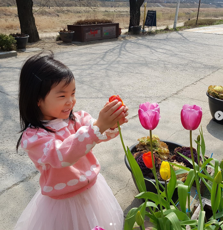 민들레는 민들레