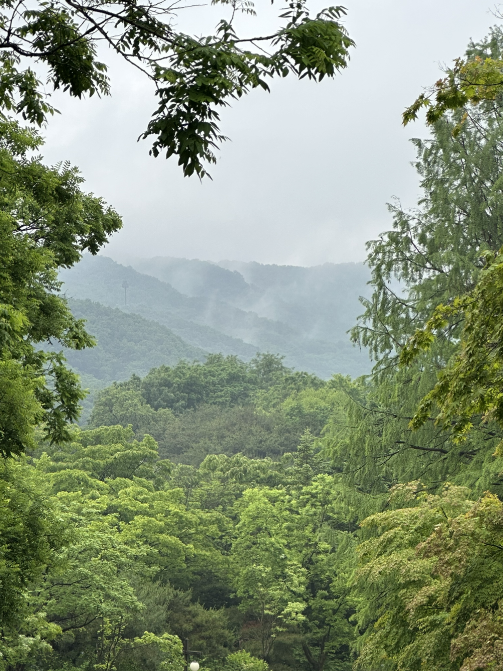 욕심많은바보 이미지