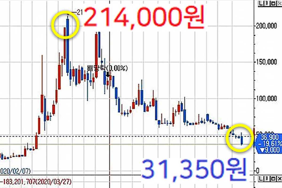 20만원짜리 주식 1년만에 3만원으로 처박은 진짜 이유