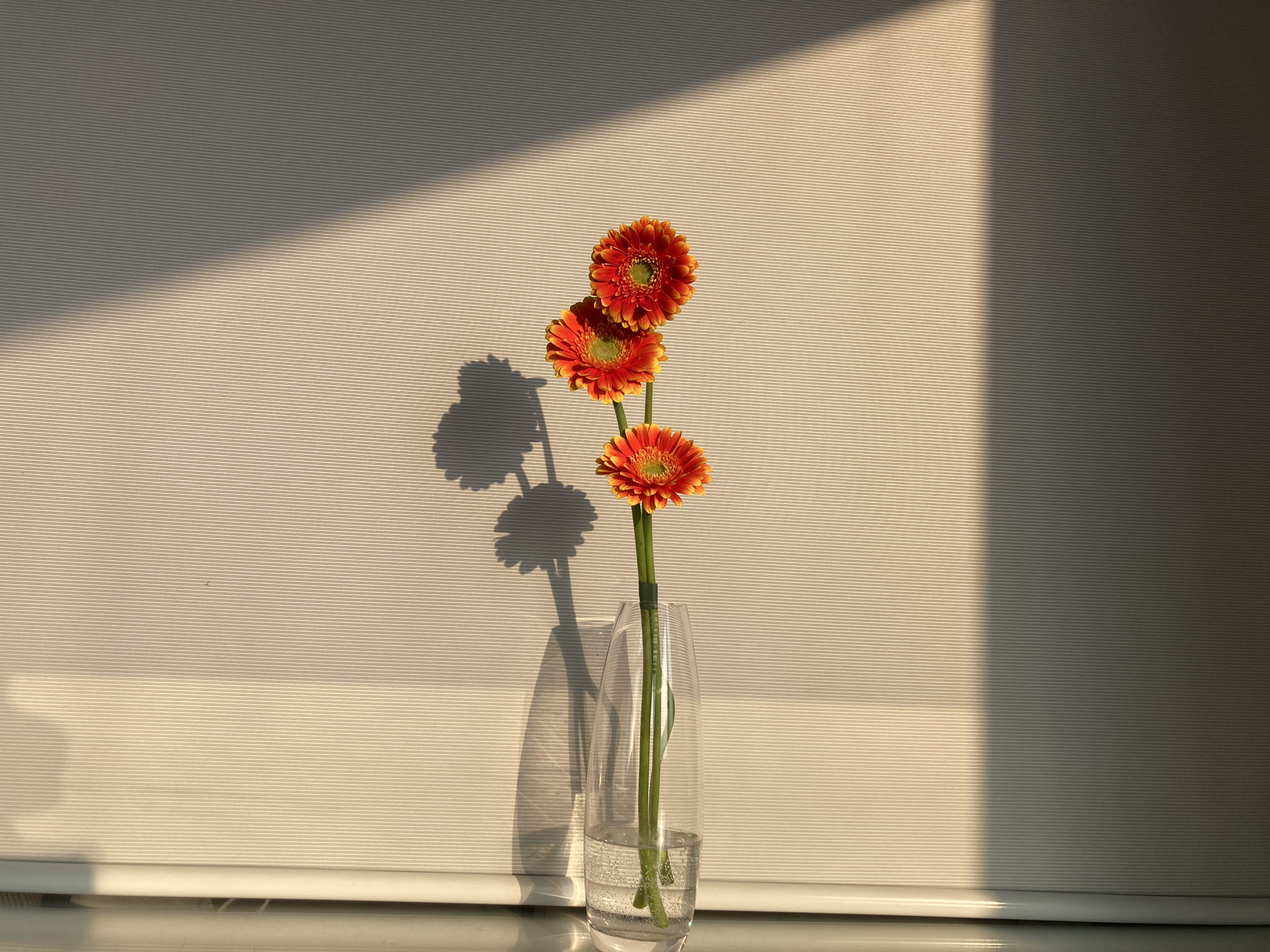 느즈바리를버리다