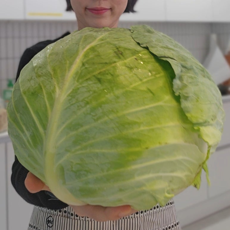 의사의식탁 이미지