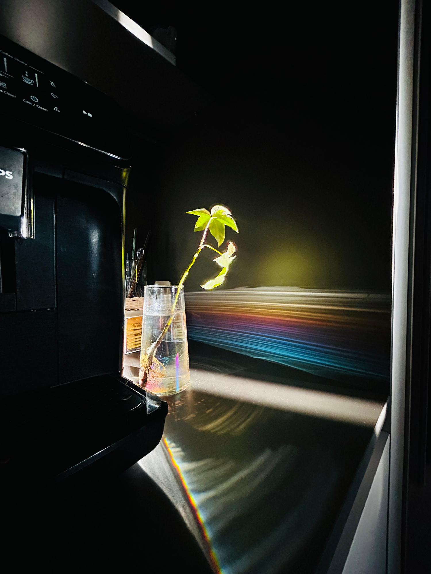 이호선과 경기버스 그 어딘가