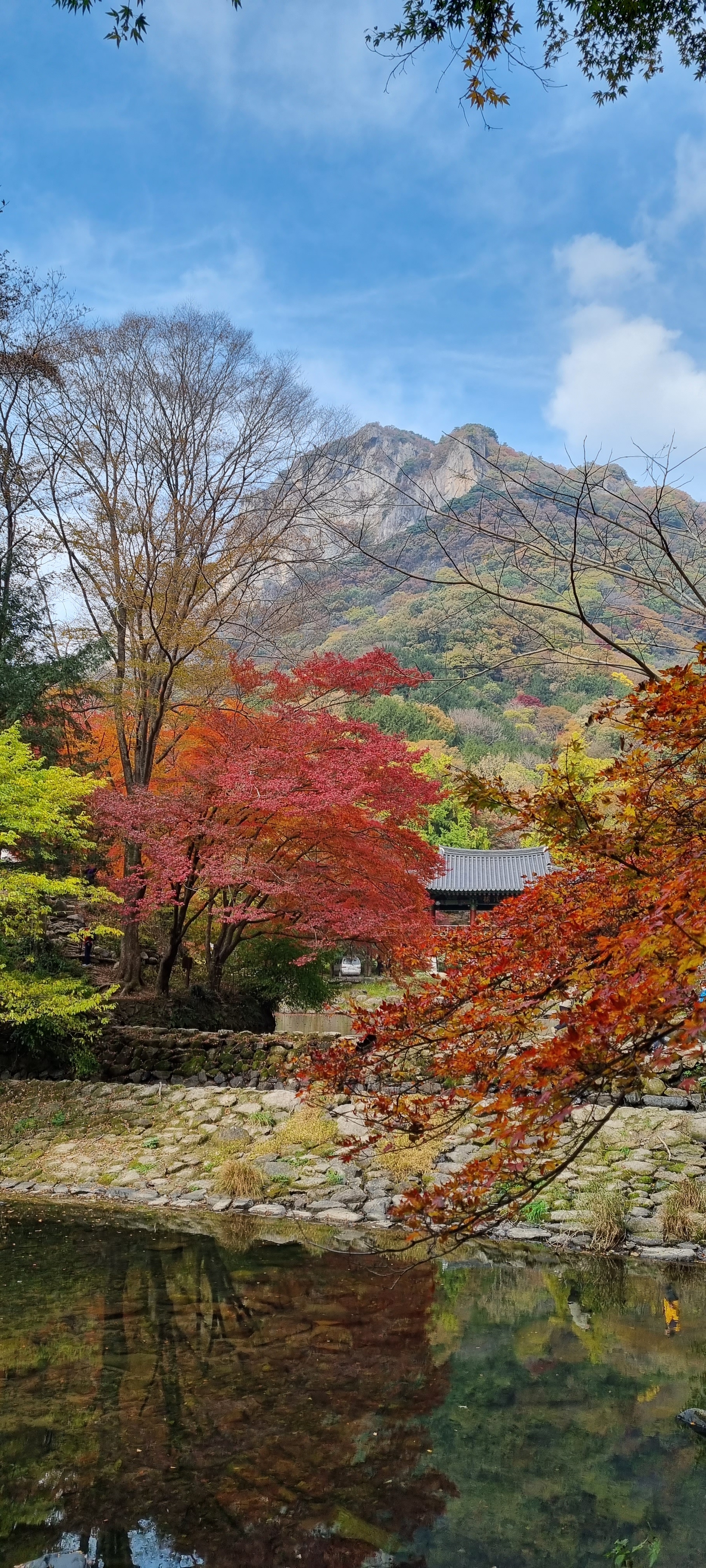 변산자연휴양림 이미지